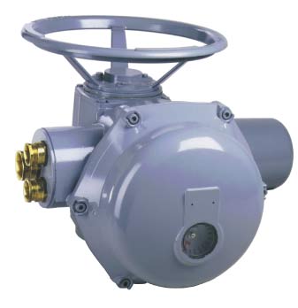 �¹�ŷ�꣨aumaִ����