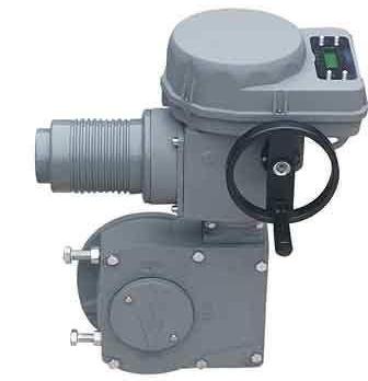 ��´� (REGADA)�綯ִ����