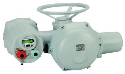 ���ɵ�(bernard)