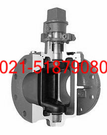 ������������������������������  �Ϻ�������  