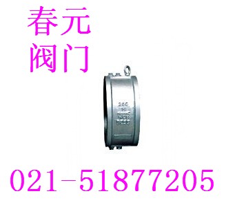 Class 250 Check Valve ֹ�ط�