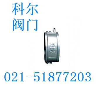 Class 250 Check Valve 止回阀