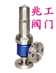 不锈钢高压安全阀