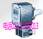 �������̸���ѹ��������